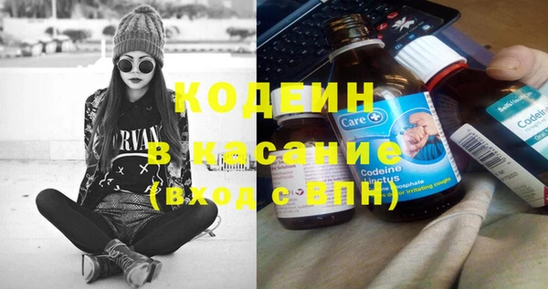 прущие грибы Богданович